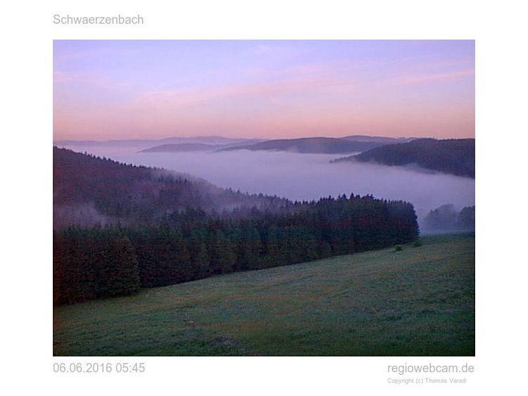 Pension Forsthaus Taele - Das Gaestehaus Vom Schwarzwaldgasthaus Salenhof تيتيسي نيوستادت المظهر الخارجي الصورة