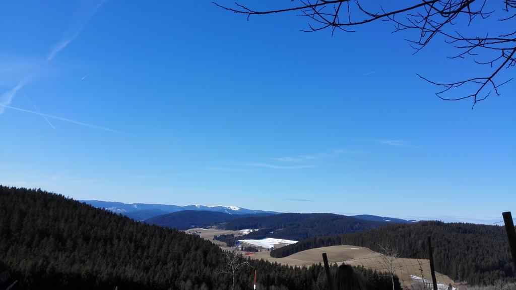 Pension Forsthaus Taele - Das Gaestehaus Vom Schwarzwaldgasthaus Salenhof تيتيسي نيوستادت المظهر الخارجي الصورة