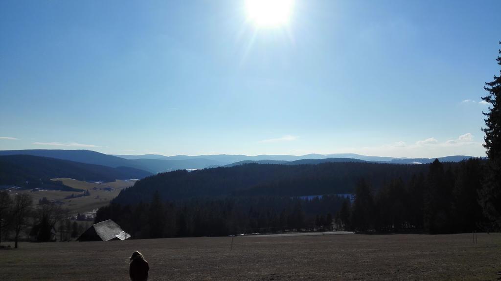 Pension Forsthaus Taele - Das Gaestehaus Vom Schwarzwaldgasthaus Salenhof تيتيسي نيوستادت المظهر الخارجي الصورة