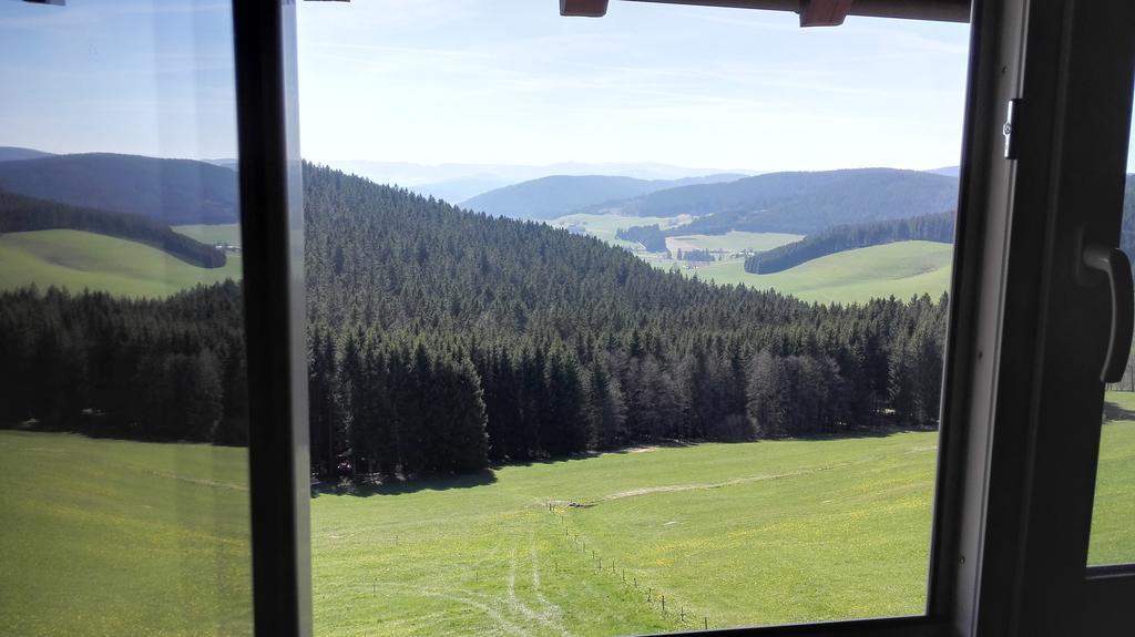 Pension Forsthaus Taele - Das Gaestehaus Vom Schwarzwaldgasthaus Salenhof تيتيسي نيوستادت المظهر الخارجي الصورة