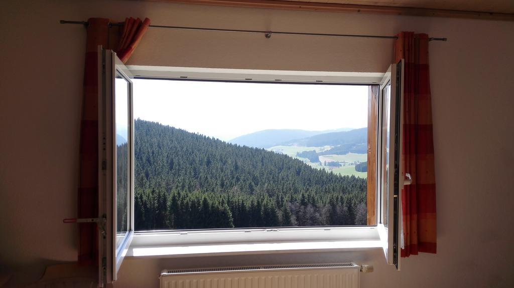 Pension Forsthaus Taele - Das Gaestehaus Vom Schwarzwaldgasthaus Salenhof تيتيسي نيوستادت المظهر الخارجي الصورة