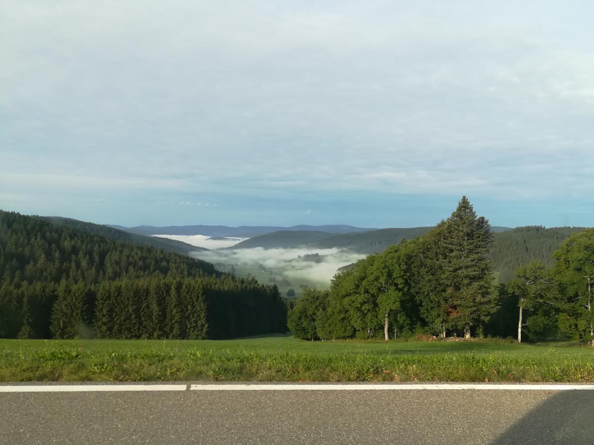 Pension Forsthaus Taele - Das Gaestehaus Vom Schwarzwaldgasthaus Salenhof تيتيسي نيوستادت المظهر الخارجي الصورة