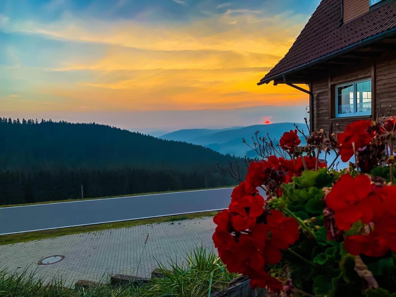 Pension Forsthaus Taele - Das Gaestehaus Vom Schwarzwaldgasthaus Salenhof تيتيسي نيوستادت المظهر الخارجي الصورة